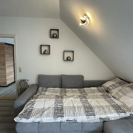 Helios Design - Altbau Dg Mit Lift & Parkplatz - Elbe & Altstadt - S-bahn Nach Dresden *
